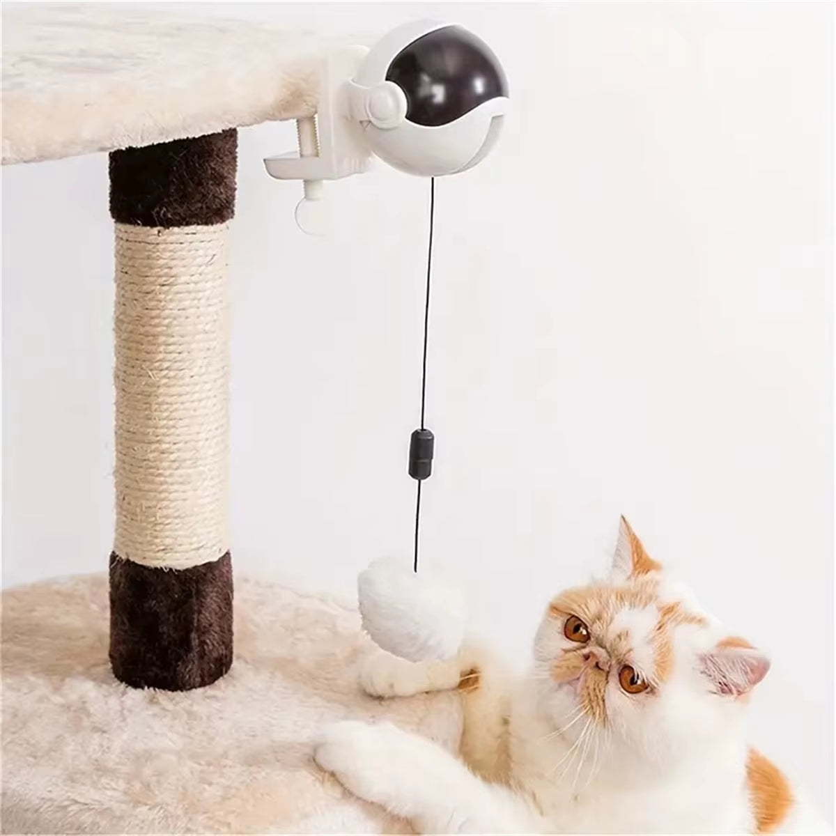 Electric motion cat toy