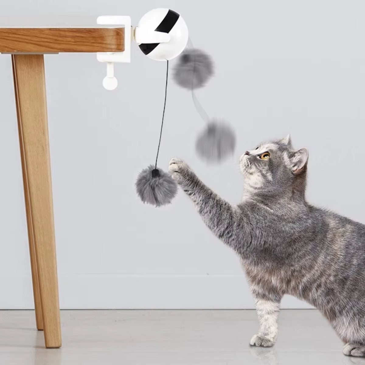 Electric motion cat toy