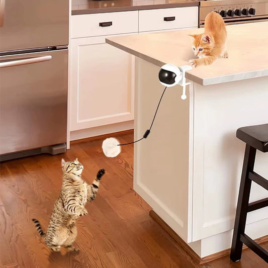 Electric motion cat toy